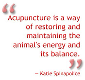 Acupuncture is a way of restoring and maintaining the animals energy and balance