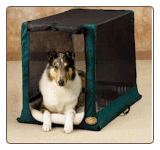 Collie in Kennel