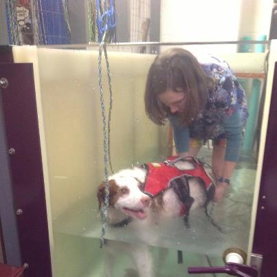 Underwater treadmill